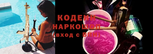 индика Нижневартовск