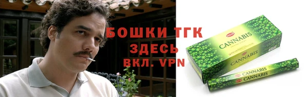 индика Нижневартовск