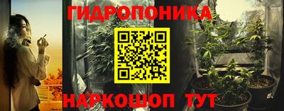гидра Берёзовский