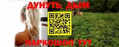 трава Бийск