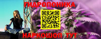 PSILOCYBIN Беслан