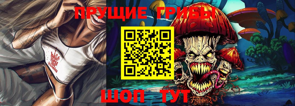 Дзержинский  Галлюциногенные грибы GOLDEN TEACHER  Вход с VPN  продажа наркотиков  Галлюциногенные грибы MAGIC MUSHROOMS 