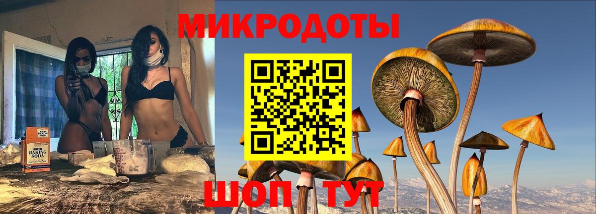 Галлюциногенные грибы Cubensis Дзержинский