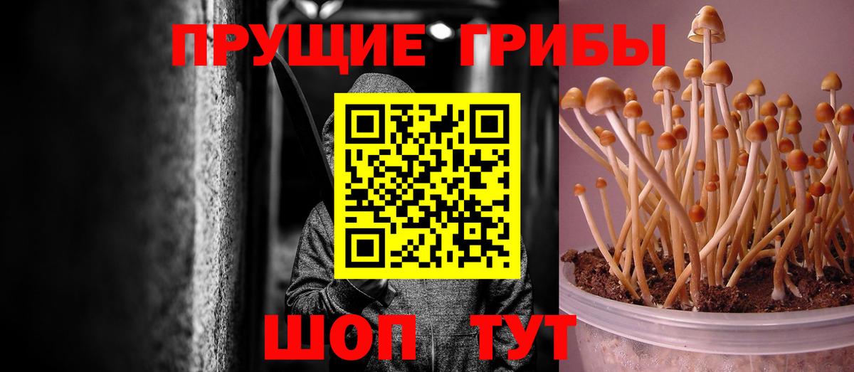 Псилоцибиновые грибы Magic Shrooms  Дзержинский 